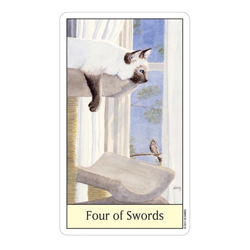 Tarot Deck With Guidebook - Permainan kartu Tarot mata kucing 12x7cm